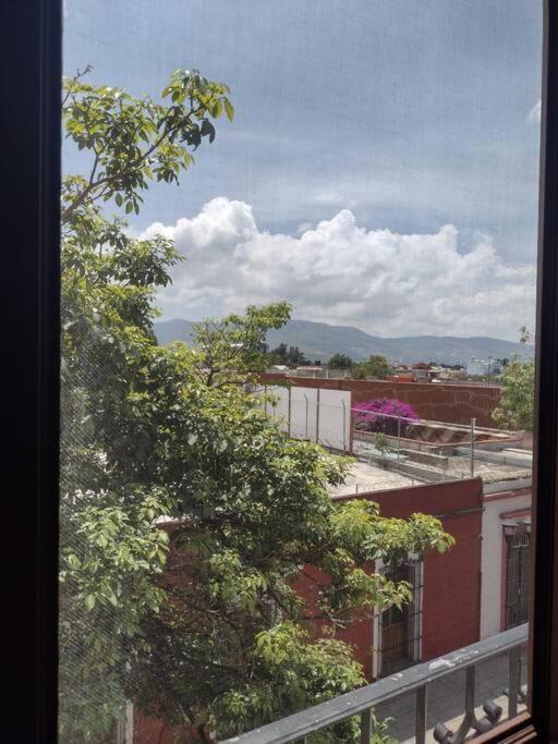 Ferienwohnung M1010 Agradable Departamento Centrico En Oaxaca Exterior foto